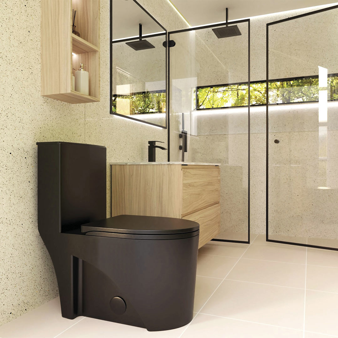 DAX One Piece Oval Toilet with Soft Closing Seat and Dual Flush High-Efficiency, Porcelain, White Finish, Height 31 Inches (BSN-CL12011)