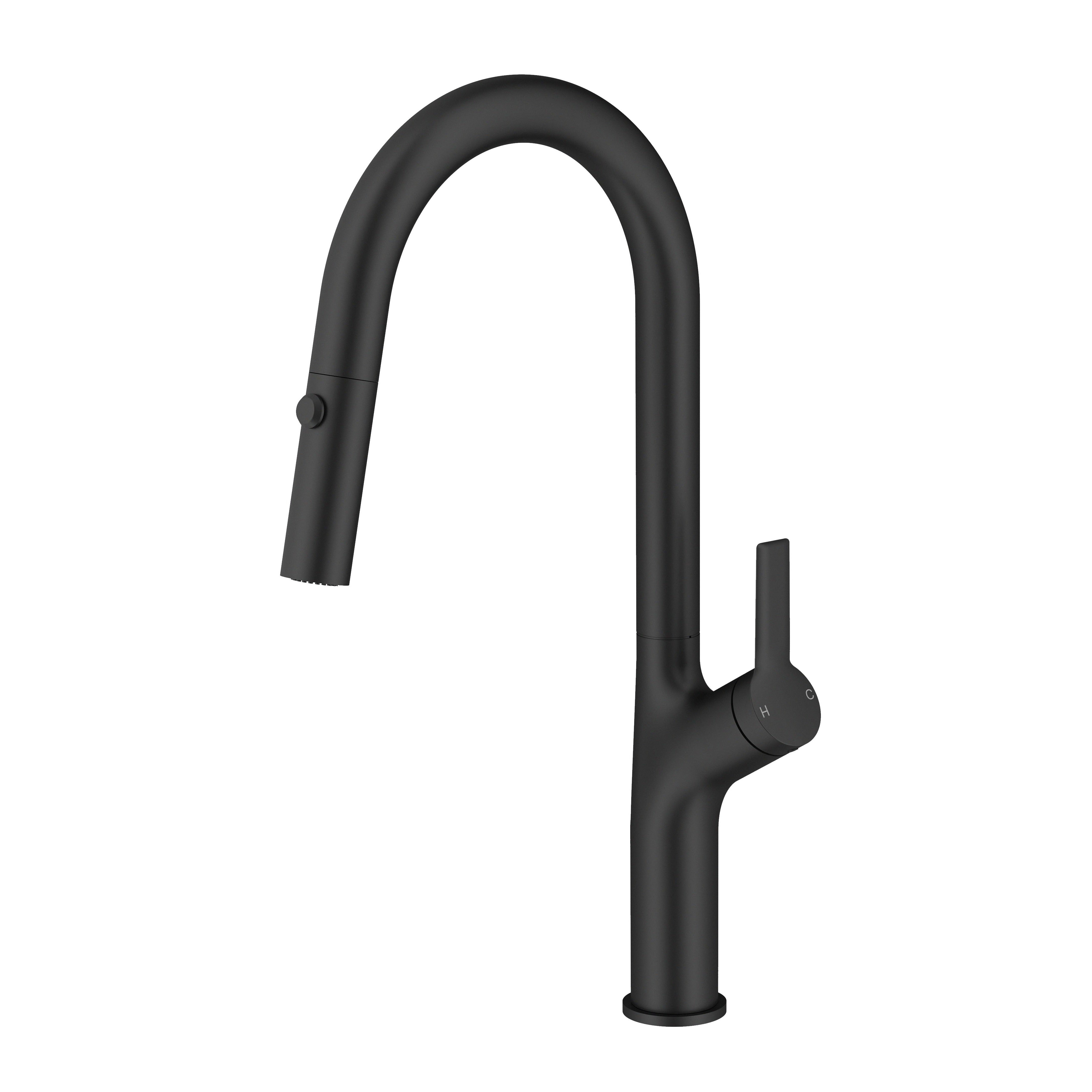 DAX Single Handle Pull Out Kitchen Faucet (DAX-8219)