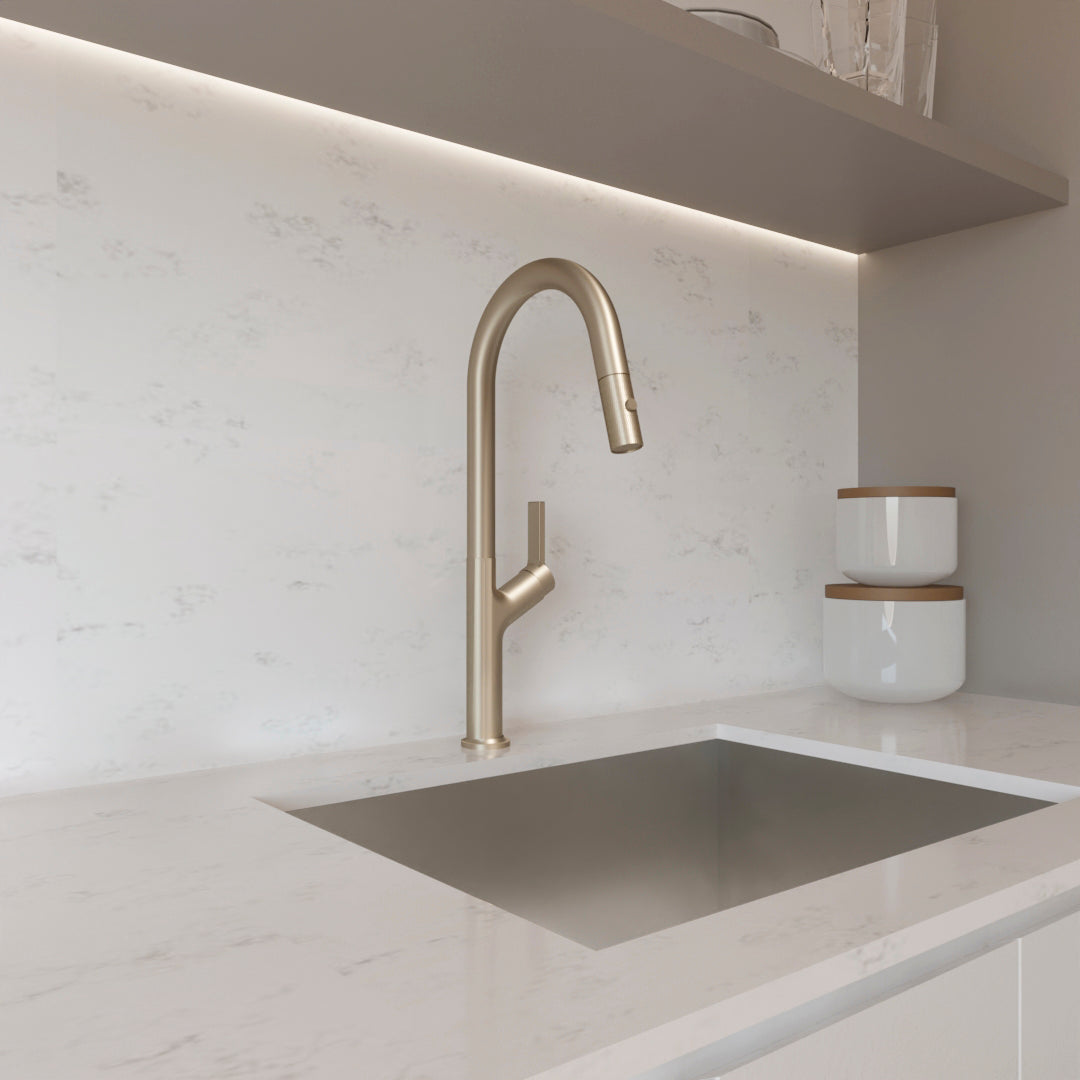 DAX Single Handle Pull Out Kitchen Faucet (DAX-8219)