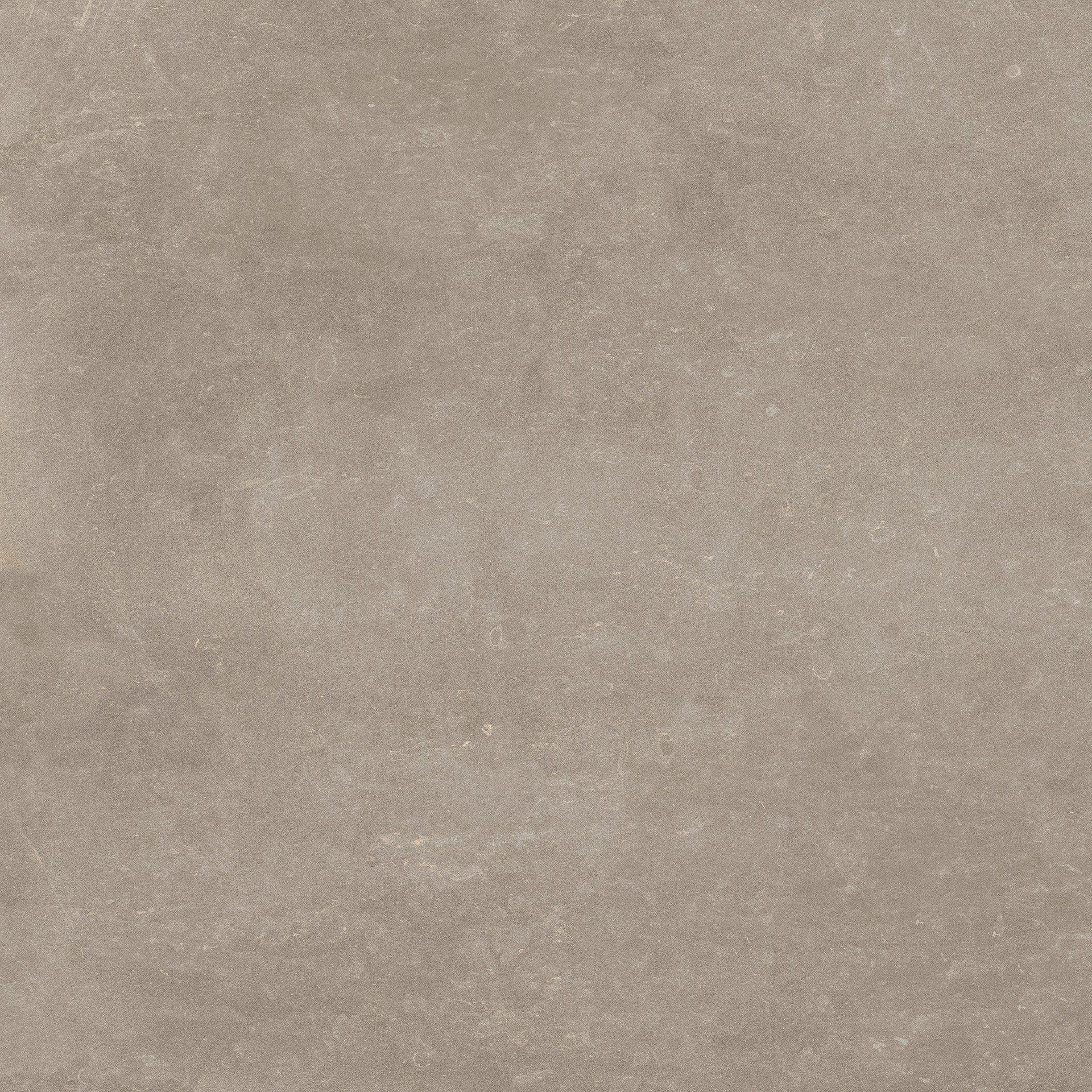 Ceramic Tile MIRAGE REGEA Flooring Collection by DAX