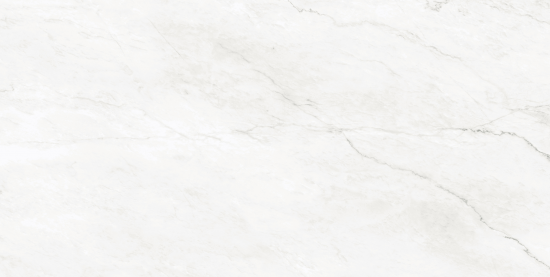 ARGENTA PACIFIC flooring - 24 x 48 - (15.5 Sqft - 2 pcs per Box - 36 Boxes per pallet)