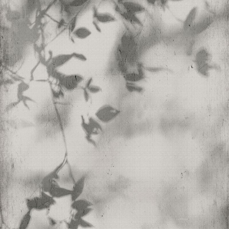 FLAVIKER SLABS 06 MM - 48 x 110 - (36.16 Sqft per Slab)