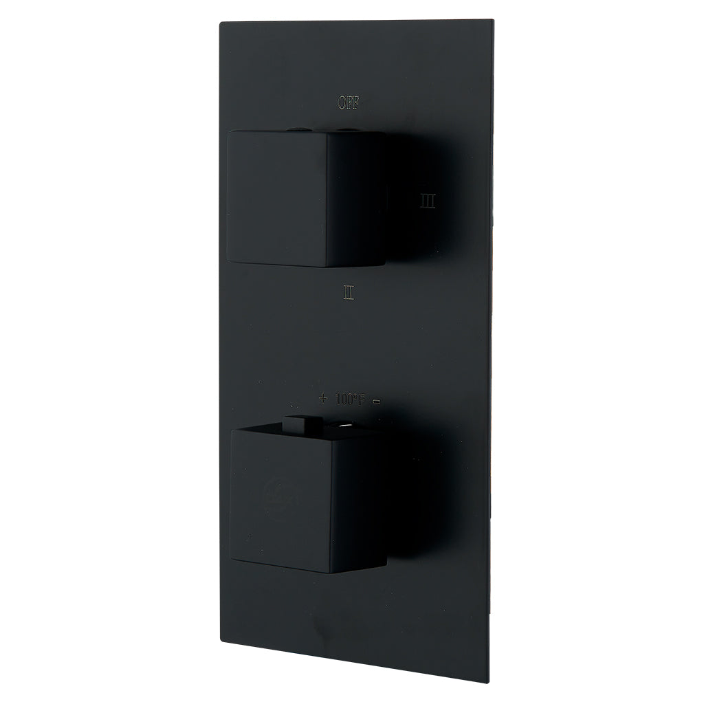 DAX Square Concealed Valve. thermostatic Mixer with 2/3 Function Diverter. Matte Black Finish (DAX-1054-SQ-BL)