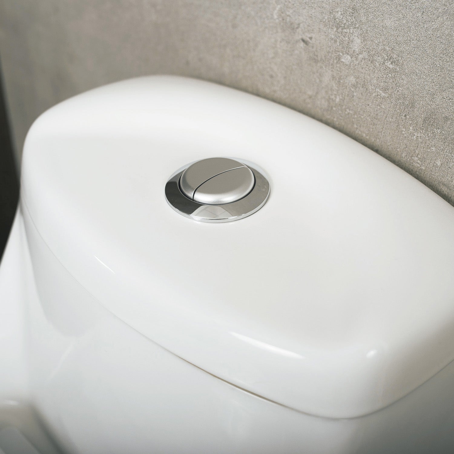 DAX One Piece Oval Toilet with Soft Closing Seat and Dual Flush High-Efficiency, Porcelain, White Finish, Height 25-1/2 Inches (BSN-11)