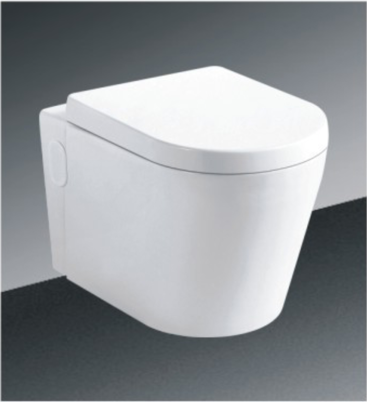 DAX One Piece Modern Oval Toilet, Wall Mount with Soft Closing Seat and Dual Flush High-Efficiency, Ceramic, White Gloss Finish, Height 12-3/5 Inches (BSN-CL11025-17)