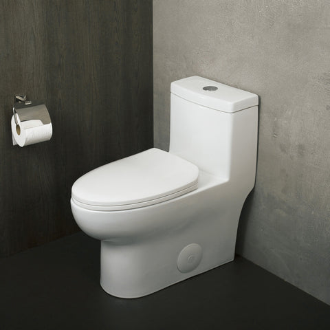 DAX Inodoro ovalado de una pieza con asiento de cierre suave y doble descarga de alta eficiencia, porcelana, acabado blanco, altura 28-3/4 pulgadas (BSN-76)