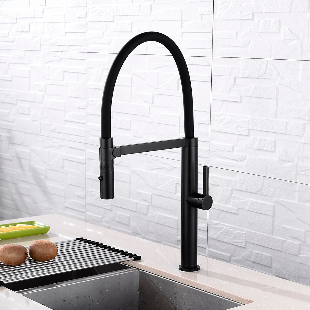 DAX Single Handle Pull Out Kitchen Faucet with Dual Sprayer, Brass Body and Shower Head, Black Finish, 9-3/16 x 21-5/8 Inches (DAX-S2417-02)